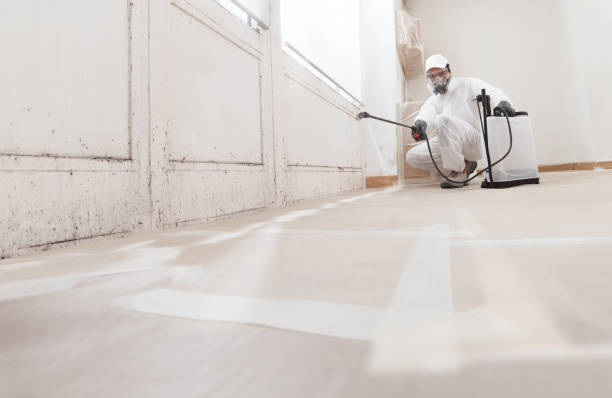 24/7 Emergency Basement Mold Removal experts in Franklinton, NC